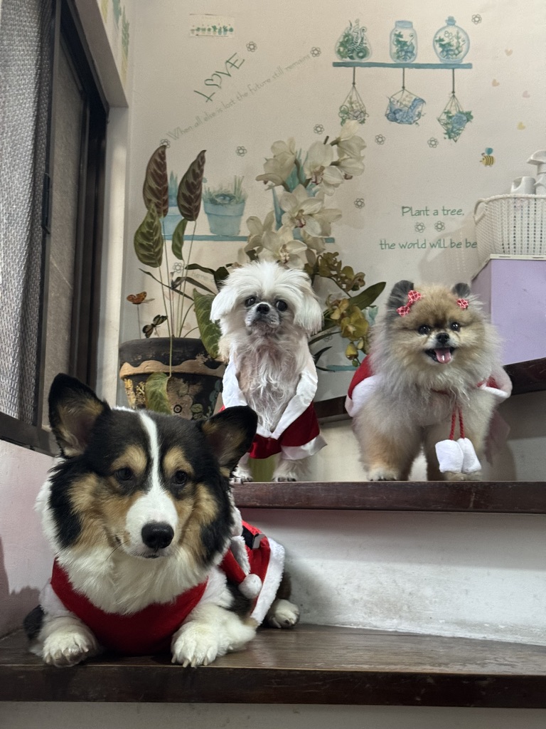 Adrian and Mikai photo placeholder 1