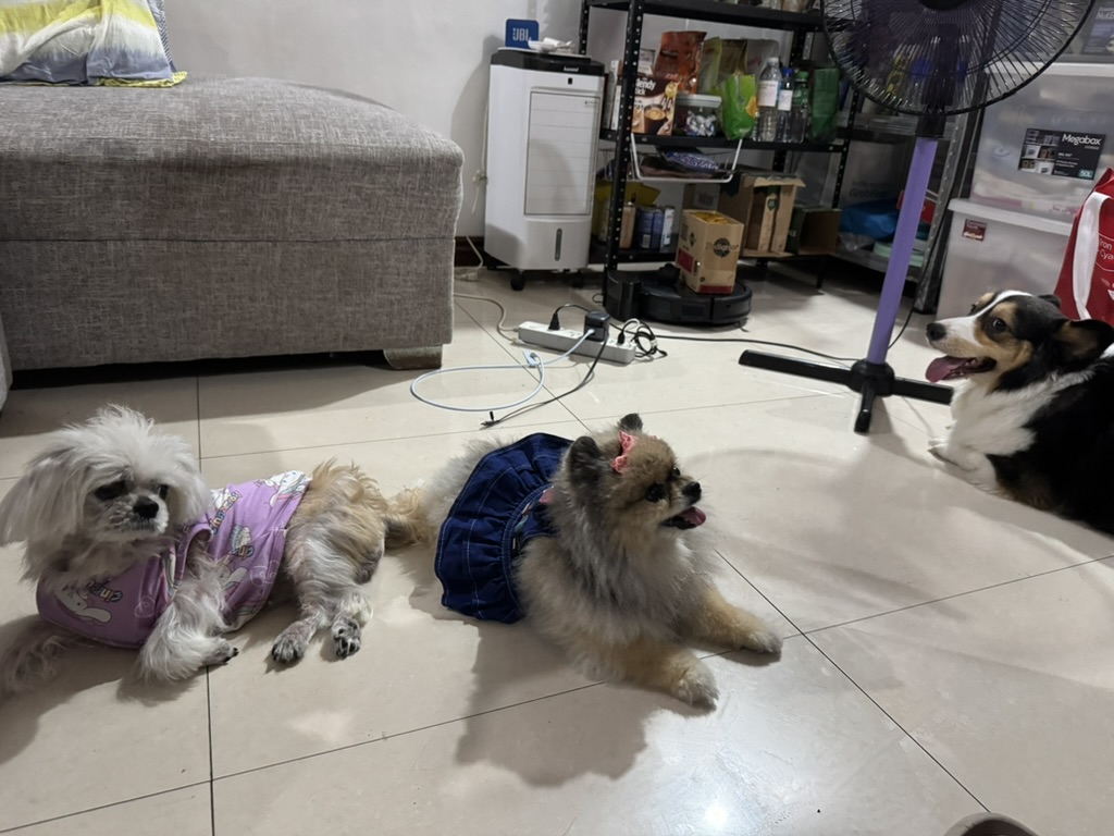 Adrian and Mikai photo placeholder 2