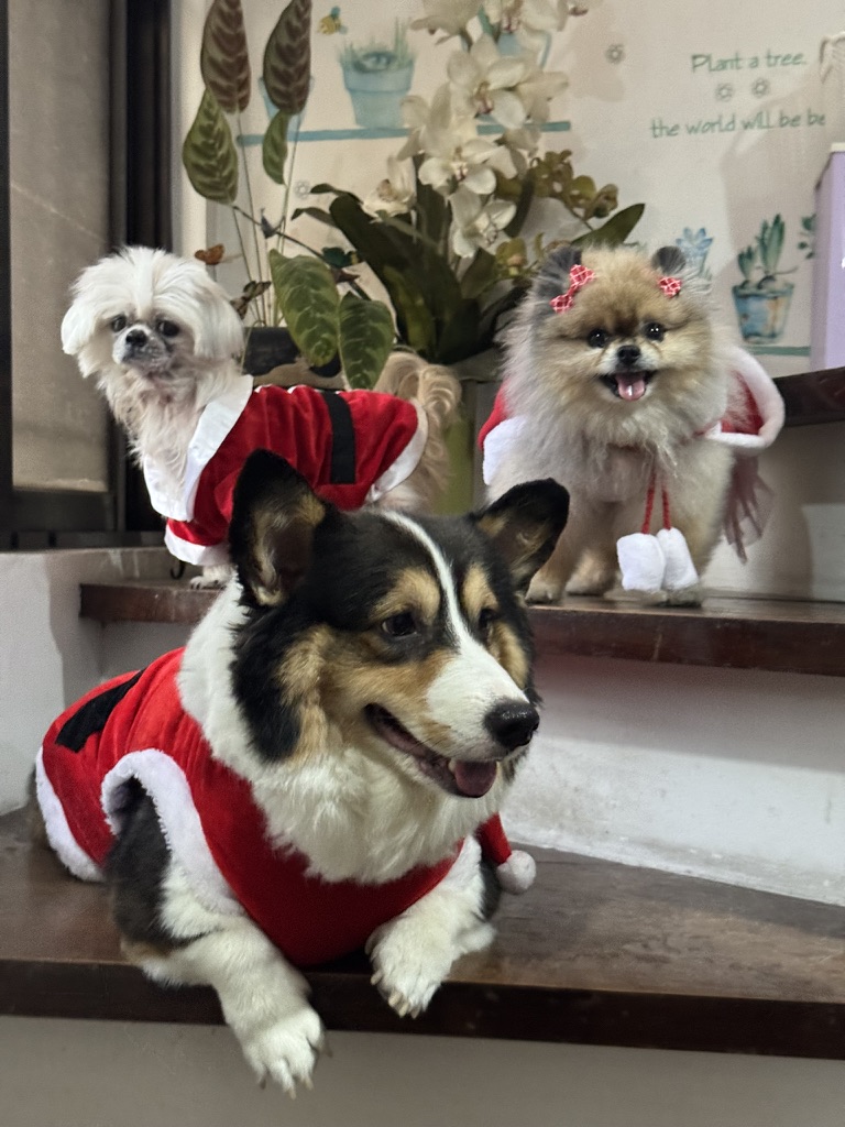 Adrian and Mikai photo placeholder 3